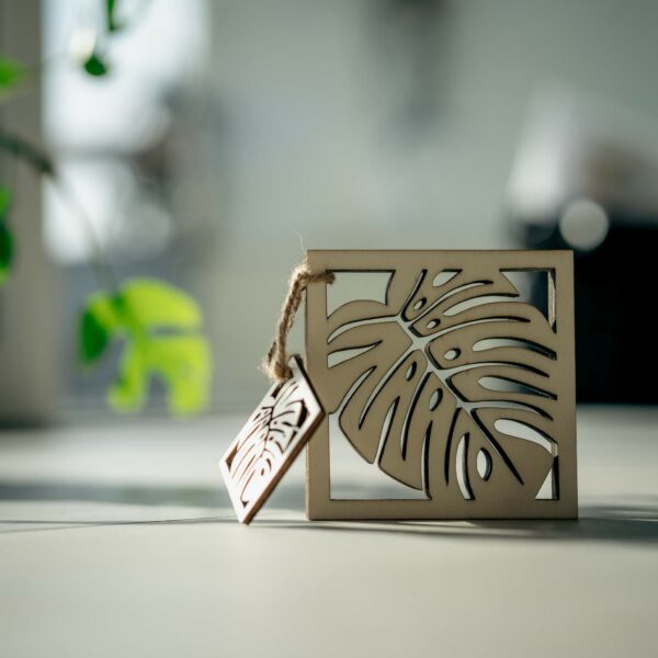Sada 4 podtácků Monstera WD